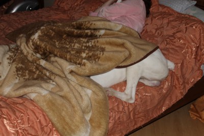 шланг.jpg