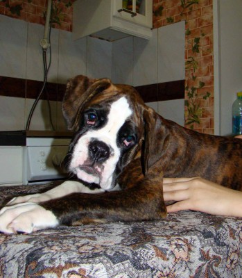 4.jpg (168.26 КБ) Просмотров: 11147 4.jpg