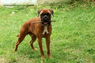 p0YK8qHC4xo.jpg (113.26 КБ) Просмотров: 9191 p0YK8qHC4xo.jpg