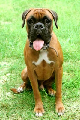 rgwuEXCamL4.jpg (163.3 КБ) Просмотров: 9409 rgwuEXCamL4.jpg