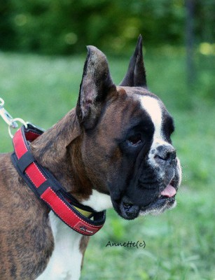 e732e4968a4d.jpg (67.52 КБ) Просмотров: 8607 e732e4968a4d.jpg