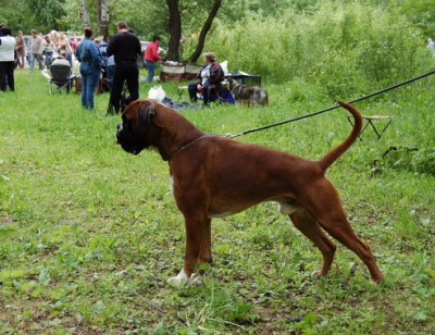 cb89f1d1eab8.jpg (118.56 КБ) Просмотров: 8474 cb89f1d1eab8.jpg