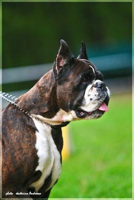 0_4e7ed_25b6f84a_XL.jpg (110.94 КБ) Просмотров: 8474 0_4e7ed_25b6f84a_XL.jpg