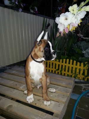 GECXc111.jpg (289.27 КБ) Просмотров: 9404 GECXc111.jpg