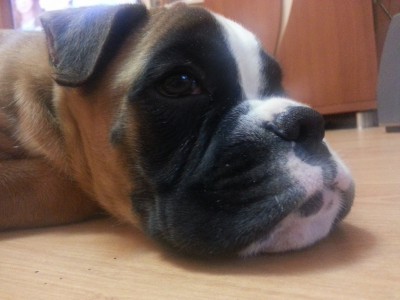 fP4qH111.jpg (243.86 КБ) Просмотров: 9699 fP4qH111.jpg