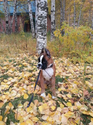 20130927_130431.jpg (531.16 КБ) Просмотров: 7653 20130927_130431.jpg