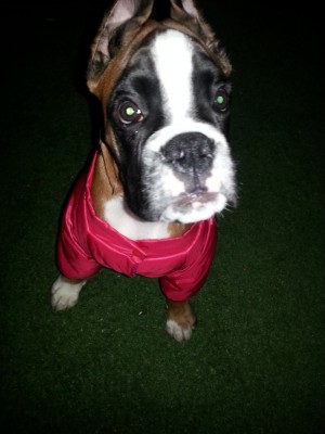 20130927_201821.jpg (222.34 КБ) Просмотров: 8479 20130927_201821.jpg