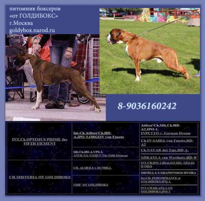 ped1b.jpg (77.67 КБ) Просмотров: 10270 ped1b.jpg