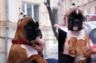 kosta1_3.jpg (49.41 КБ) Просмотров: 8089 kosta1_3.jpg