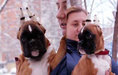 kosta4_5.jpg (42.98 КБ) Просмотров: 8089 kosta4_5.jpg