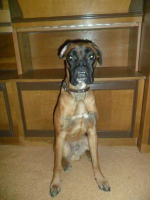 SAM_2153.JPG (309.86 КБ) Просмотров: 11296 SAM_2153.JPG