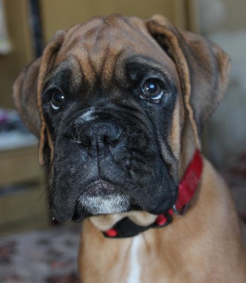 IMG_2463.JPG (111.29 КБ) Просмотров: 3366 IMG_2463.JPG