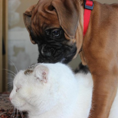 IMG_2450.JPG (96.97 КБ) Просмотров: 3366 IMG_2450.JPG