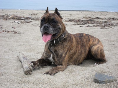 9.jpg (80.76 КБ) Просмотров: 10294 9.jpg