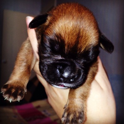 5.jpg (110.57 КБ) Просмотров: 10294 5.jpg