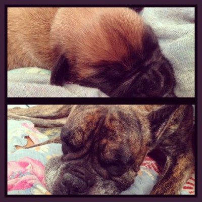 4.jpg (43.14 КБ) Просмотров: 10294 4.jpg