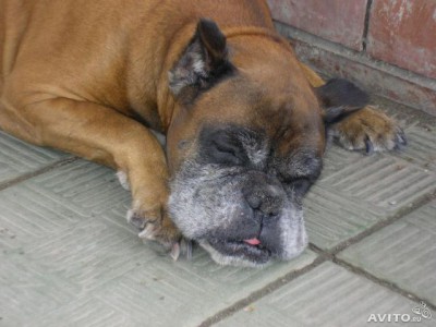 749714546.jpg (48.89 КБ) Просмотров: 17608 749714546.jpg