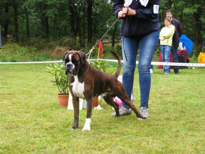 nick.jpg (225.28 КБ) Просмотров: 8040 nick.jpg