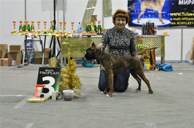 рона-тул.jpg (66.16 КБ) Просмотров: 10648 рона-тул.jpg