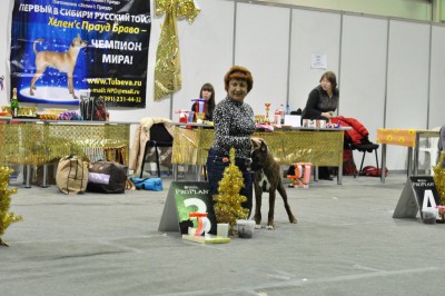 рона-тул1.jpg (98.16 КБ) Просмотров: 9847 рона-тул1.jpg